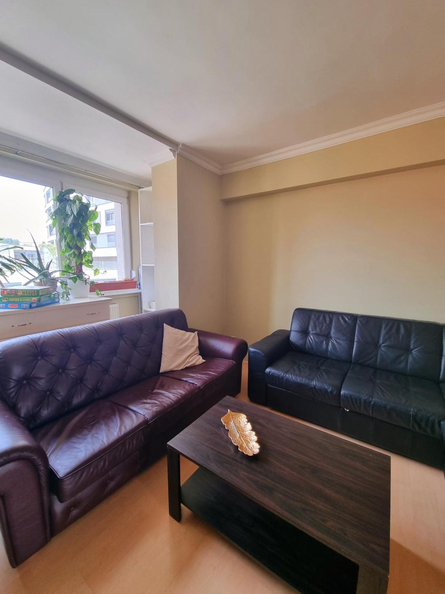 Big 4 Room Huge Apartment ブラチスラヴァ エクステリア 写真
